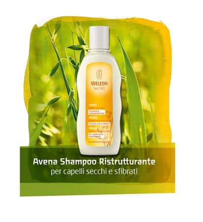AVENA SHAMPOO 190ML WE