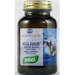 ALGA FUCUS 113CPR