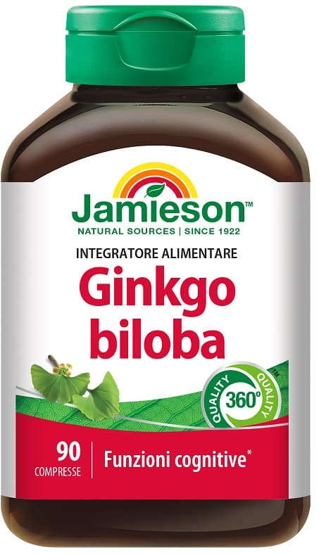 GINKGO BILOBA 120 TM 90CPR