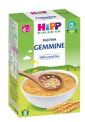 HIPP BIO PASTINA GEMMINE 320G