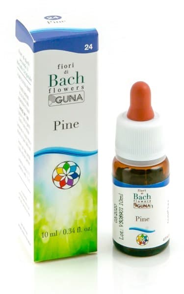 PINE 24 10ML GTT BACH GUNA