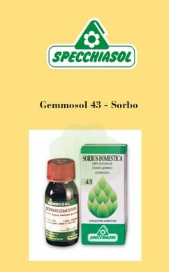 GEMMOSOL 43 SORBO 50ML