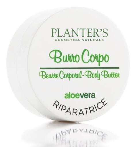 PLANTERS ALOE BURRO 10REG125ML