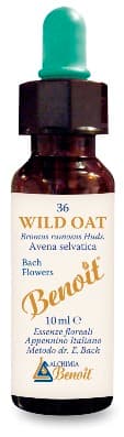 BENOIT FIORI DI BACH WILD OAT