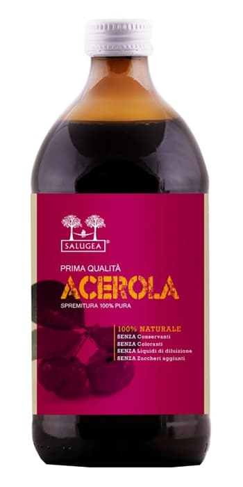 SUCCO PURO ACEROLA 500ML