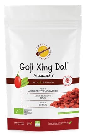 GOJI ALICAMENTIS BIO 190G