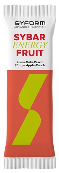 SYBAR ENERGY FRUIT MELA/PESC40