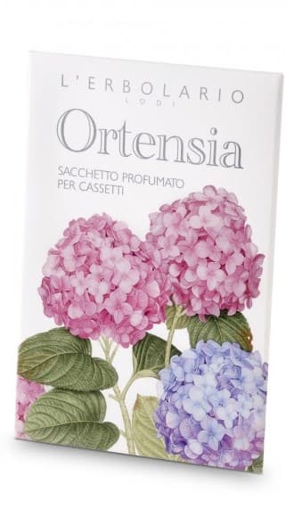 ORTENSIA SACCHETTO PROF CASSET