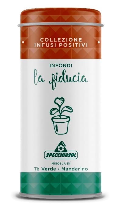 TISANA INFONDI LA FIDUCIA 80G