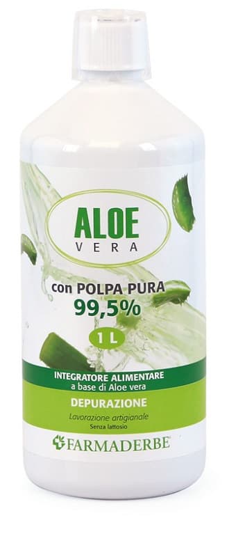 ALOE VERA SUCCO POLPA 1000ML