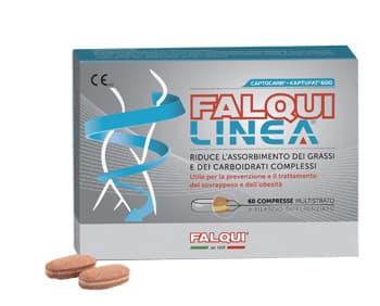 FALQUI LINEA OBESITA' 60CPR