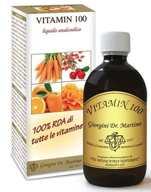 VITAMIN 100 LIQUIDO ANALC500ML
