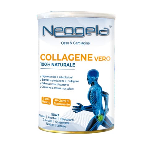 NEOGELA POLVERE 400GR ZETA 92