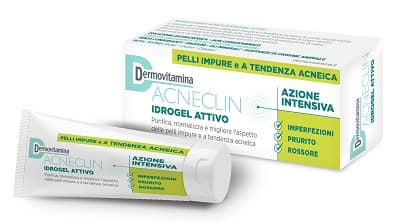 Dermovitamina Acneclin Idrogel Attivo 40ml
