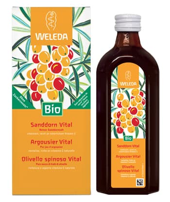 OLIVELLO SPINOSO VITAL SUCCO WE