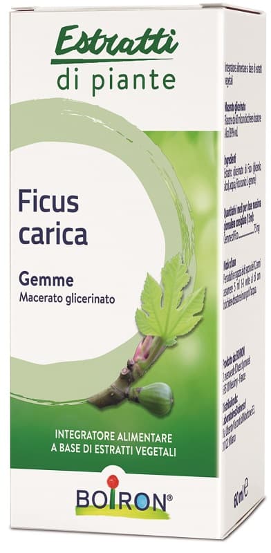 FICUS CARICA MG 60ML INT