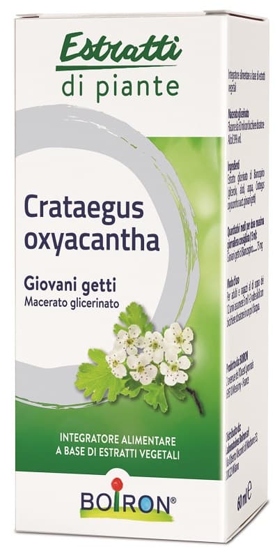 CRATAEGUS OXY MG 60ML INT