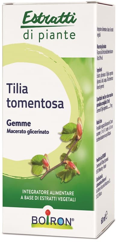 TILIA TOMENTOSA MG 60ML INT