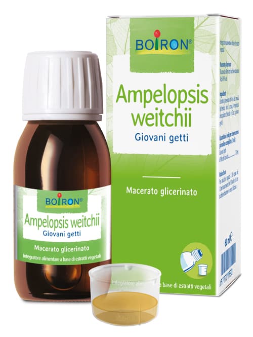 BO.AMPELOPSIS WEI MG 60ML INT