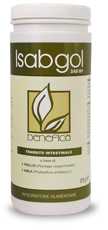 DAB 001 ISABGOL REGULAR 375G