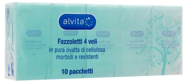ALVITA FAZZOLETTI CARTA 6X10PZ