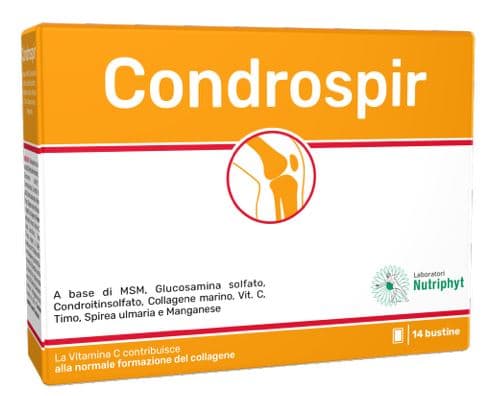 CONDROSPIR 14 Bust.