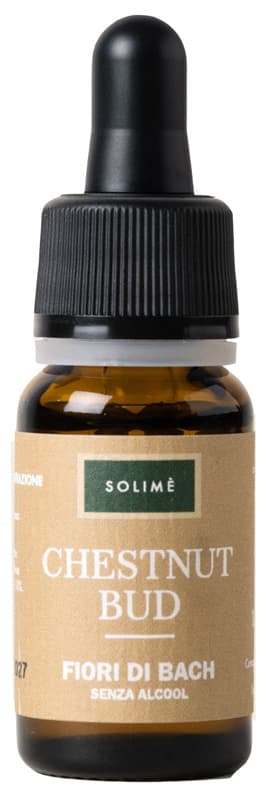 CHESTNUT BUD 10ML