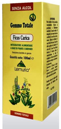 FICUS CARICA 100ML