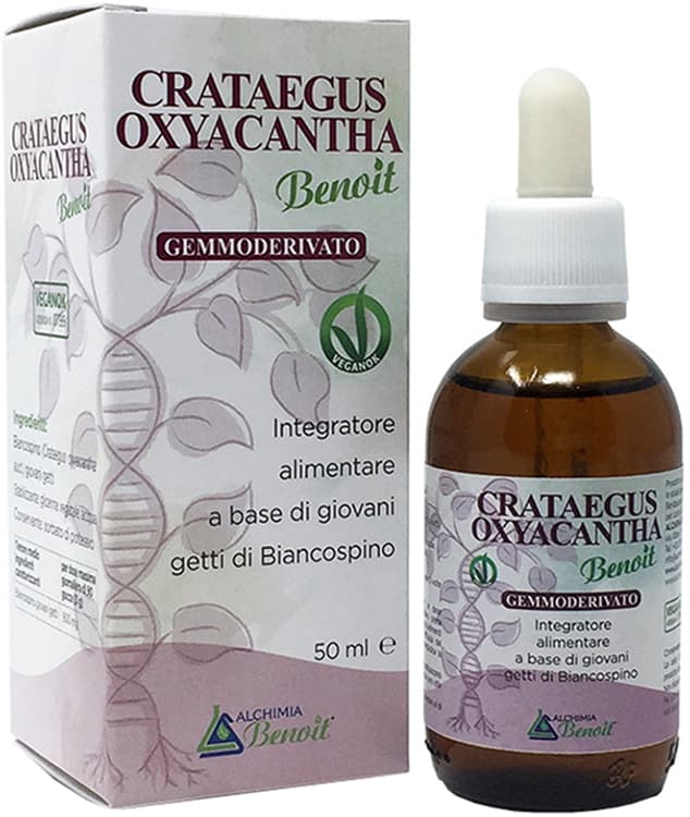 CRATAEGUS OXIANTA GEMM 50ML