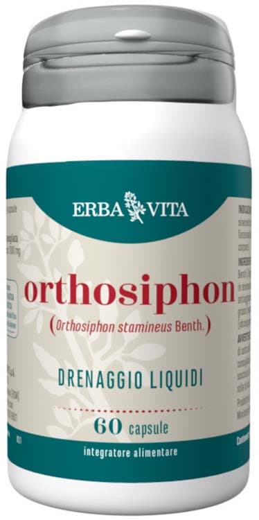 ORTHOSIPHON 60 Cps 450mg EBV