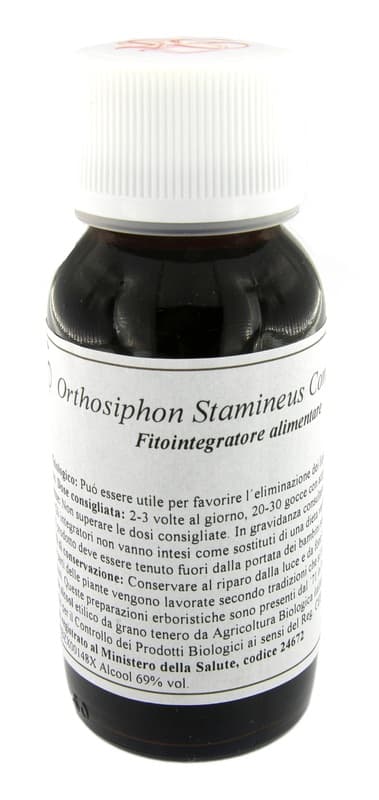 65S ORTHOSIPRON STAMINESS COMP