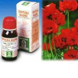 Escolzia(sol.idroalc.13)