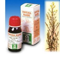 Specchiasol Verga d'Oro 26 Tintura Madre 50 ml