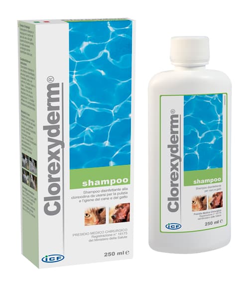Icf Clorexyderm Shampoo Disinfettante Cani E Gatti 250 Ml