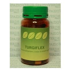 TURGIFLEX 60CPS SPAZIO V
