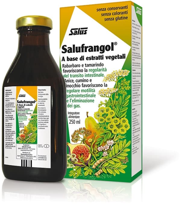 SALUFRANGOL-ESTR 250ML