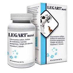 LEGART MAXI 60CPR 2G VET