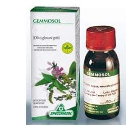 Specchiasol Gemmosol 3 Ippocastano 50 ml