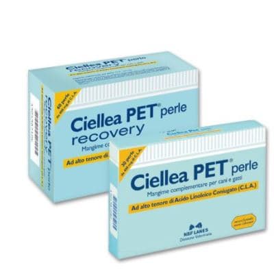 CIELLEA Pet 60 Perle