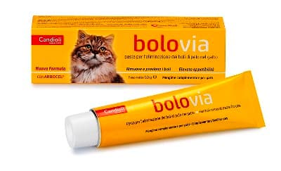 BOLO VIA PASTA GATTI 50G