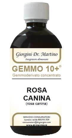 Dr.Giorgini G10+ Rosa Canina Liquido Analcolico 500Ml