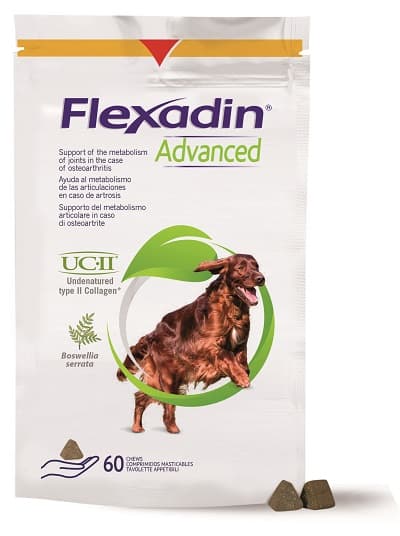 FLEXADIN Advanced Cani 60 Tav.