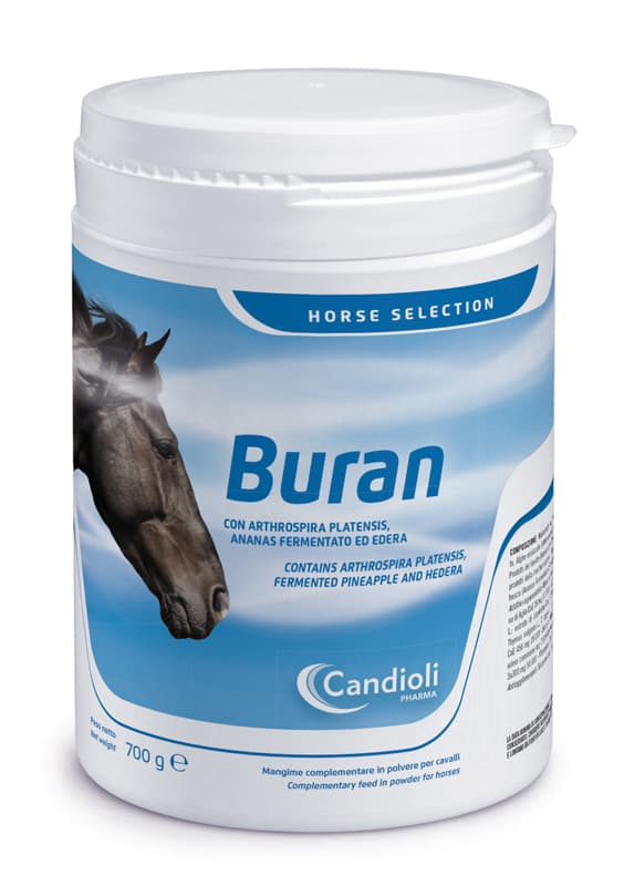Buran 700g