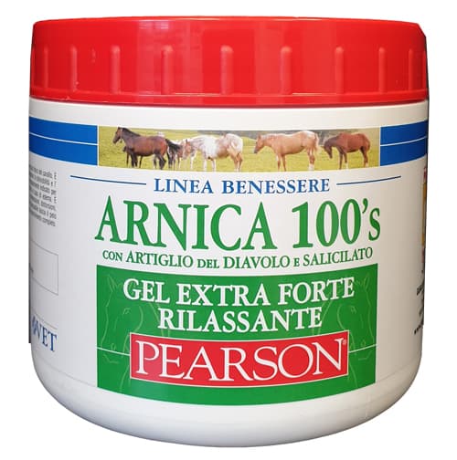 Arnica 100's Gel ex ft Rila500