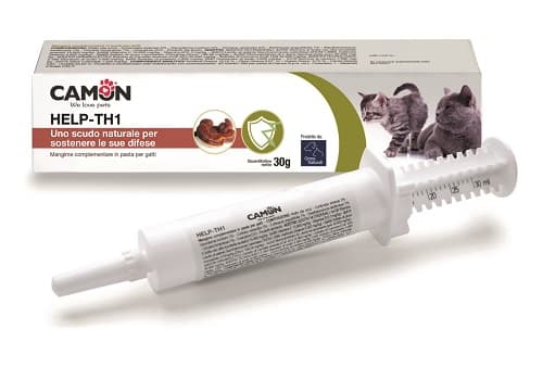 HELP TH1 Pasta Siringa 30g