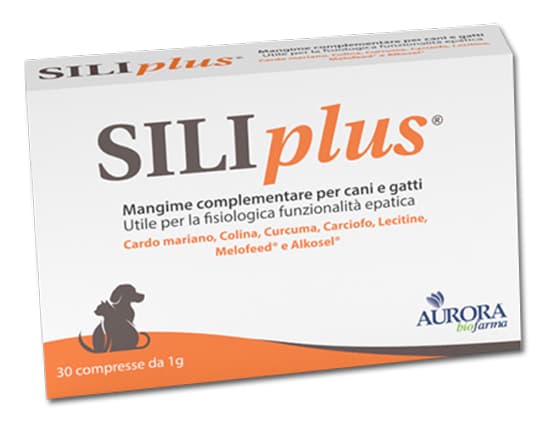 SILIPLUS 30 Cpr 1g