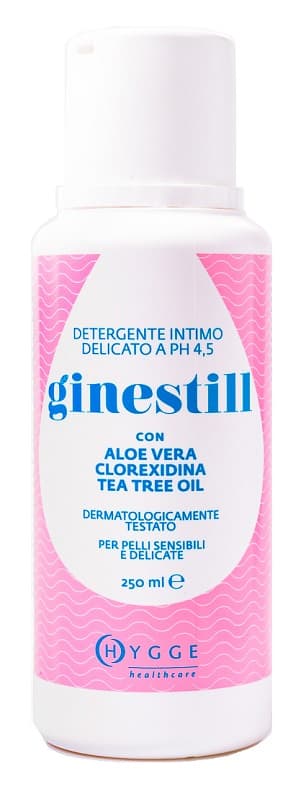GINESTILL DETERGENTE LIQ 250ML