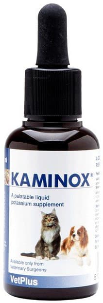 KAMINOX Sciroppo 60ml