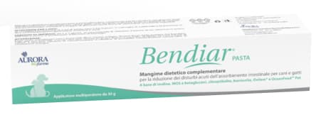 Bendiar Pasta 30g