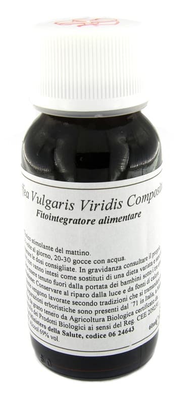 29S COFFEA VULGARIS VIRID COMP